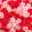 Ramo 100 rosas con liston - Rosa roja y rosa