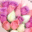 Ramo 100 rosas con liston - Rosa morada, rosa y blanca