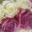 Ramo 100 rosas con liston - Rosa blanca y morada