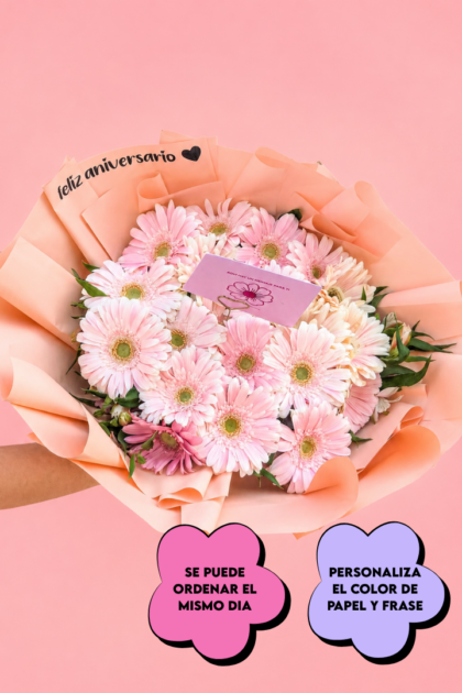 Malia 20 gerberas