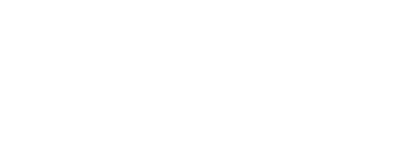 ARANZA MUÑOZ FLORISTERIA