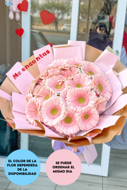 Malia 20 gerberas