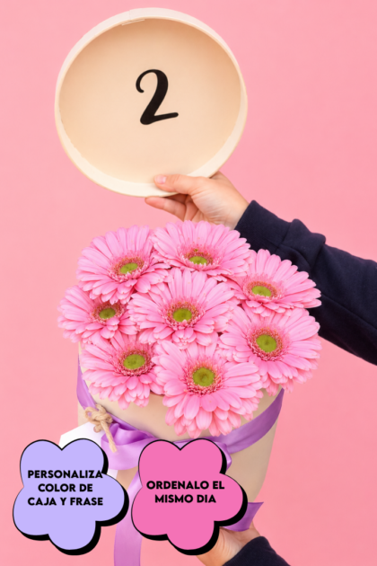 Box Naia Gerberas