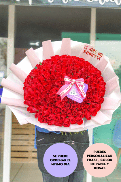 Ula 200 rosas