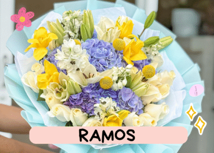 Ramos 🌸