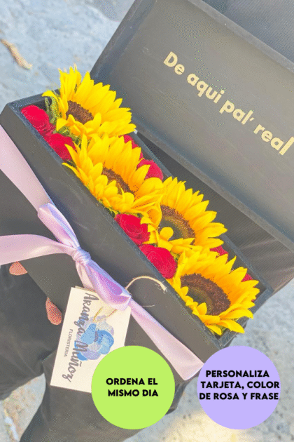 Box Nova con girasoles