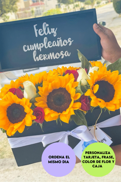 Box nova con girasoles y rosas