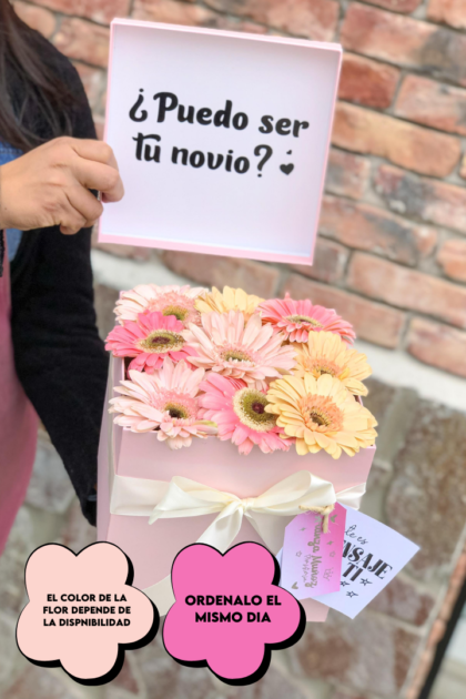 Box Fenix con gerbera