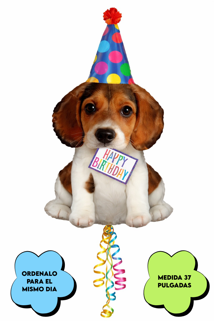 MEDIDA PARA PAGINA - 2026-03-28T134847.219