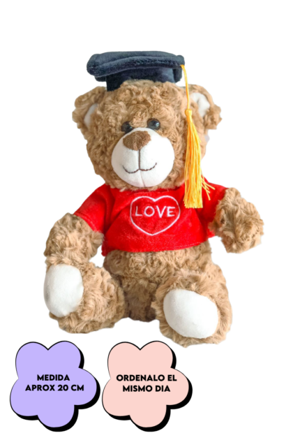 Peluche graduación