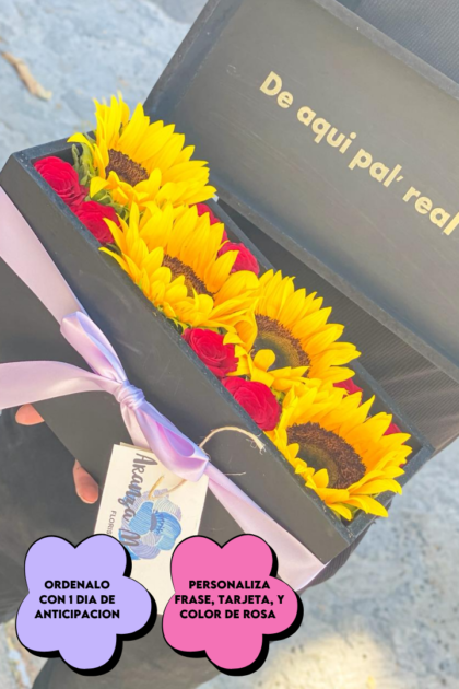 Box nova con girasoles y rosas