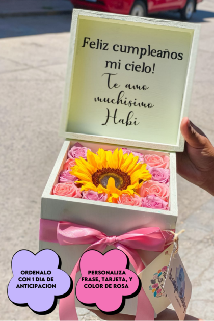 Box fenix con girasol