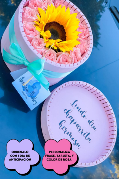 Box zenith con girasol