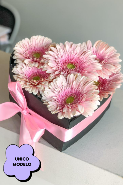 Caja con gerbera
